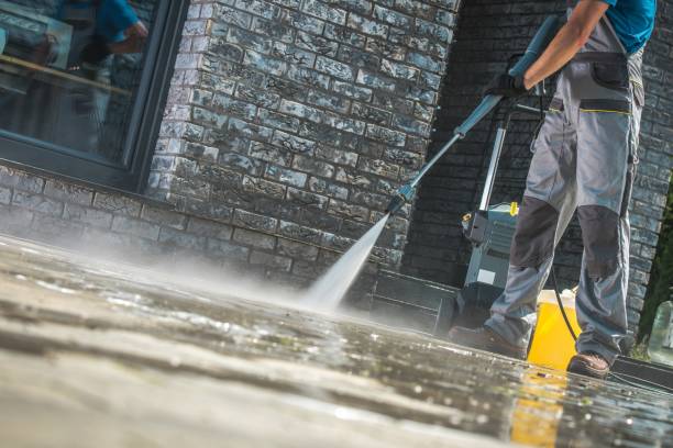 Best Animal Enclosure Cleaning  in Ashland, AL